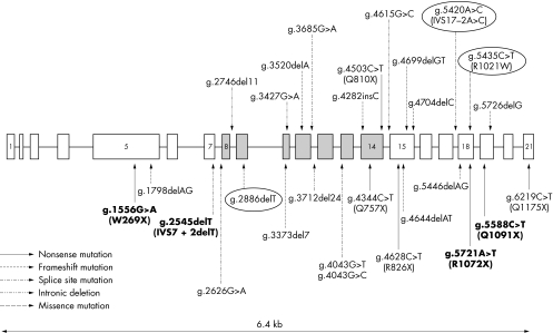 An external file that holds a picture, illustration, etc.
Object name is mg31781.f4.jpg