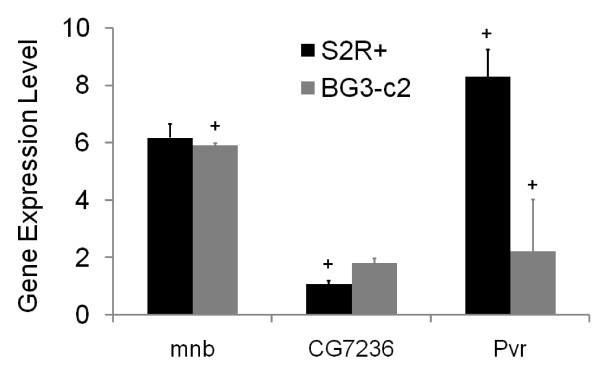 An external file that holds a picture, illustration, etc.
Object name is gb-2009-10-3-r26-4.jpg