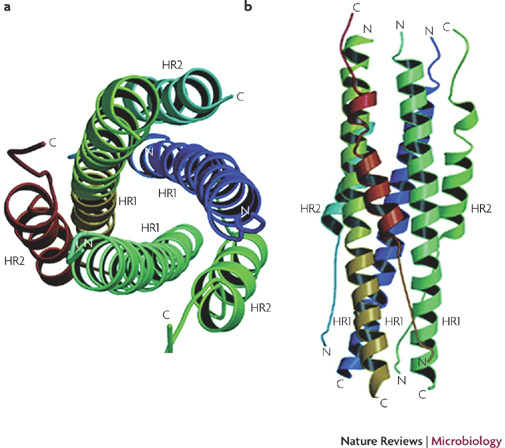 An external file that holds a picture, illustration, etc.
Object name is 41579_2009_Article_BFnrmicro2090_Fig3_HTML.jpg