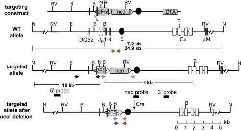 An external file that holds a picture, illustration, etc.
Object name is pnas.0912914107fig02.jpg