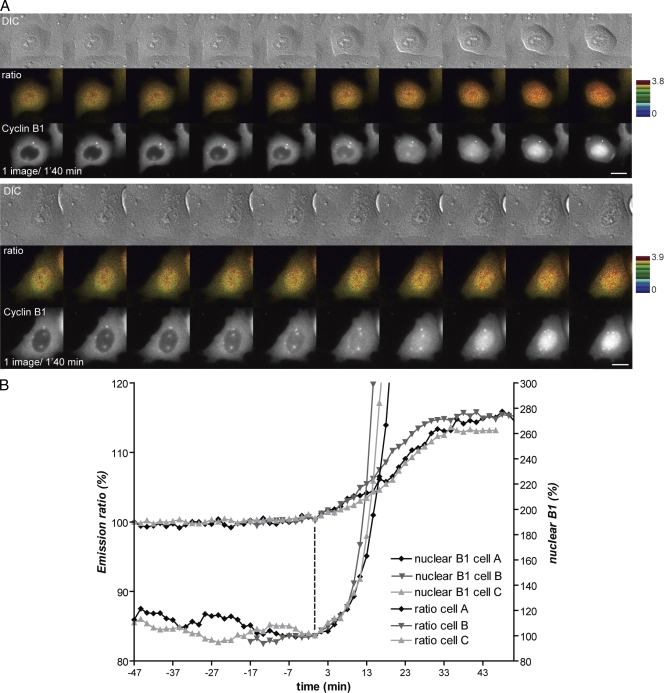 An external file that holds a picture, illustration, etc.
Object name is JCB_200909144_RGB_Fig1.jpg