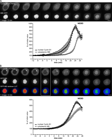 An external file that holds a picture, illustration, etc.
Object name is JCB_200909144_RGB_Fig8.jpg