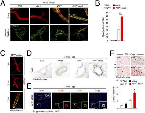 An external file that holds a picture, illustration, etc.
Object name is pnas.1000645107fig03.jpg