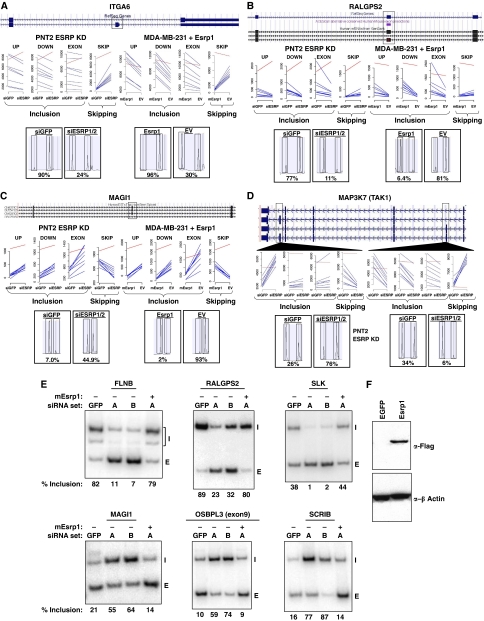 An external file that holds a picture, illustration, etc.
Object name is emboj2010195f2.jpg