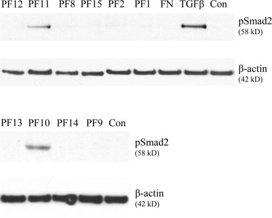 An external file that holds a picture, illustration, etc.
Object name is jcb1760355f02.jpg