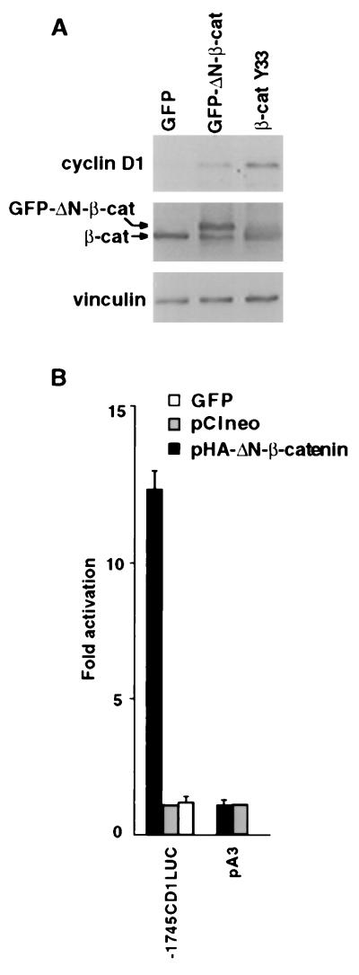 An external file that holds a picture, illustration, etc.
Object name is pq1090983001.jpg