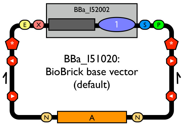 An external file that holds a picture, illustration, etc.
Object name is 1754-1611-2-5-1.jpg