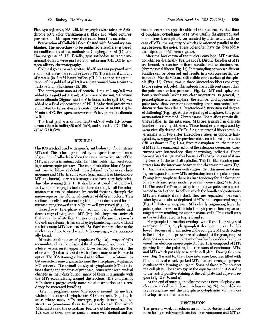 icon of scanned page 1899