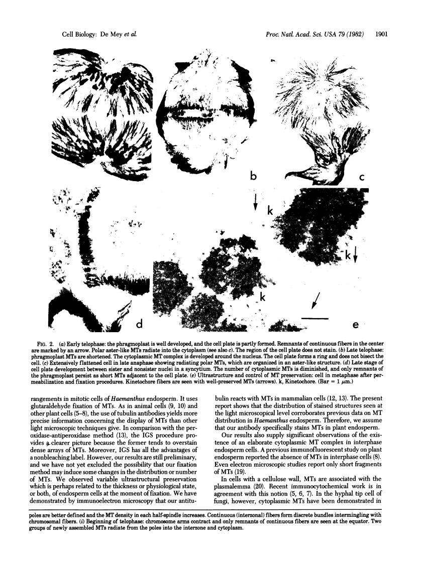 icon of scanned page 1901