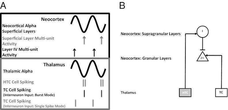 An external file that holds a picture, illustration, etc.
Object name is pnas.1215385109fig05.jpg