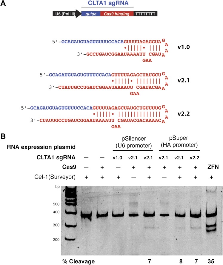 An external file that holds a picture, illustration, etc.
Object name is elife00471f003.jpg