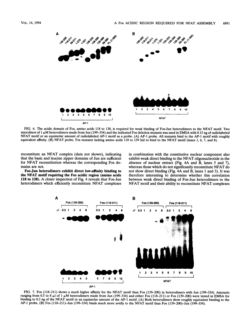 icon of scanned page 6891