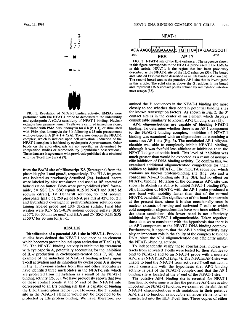 icon of scanned page 1913