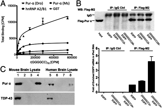 An external file that holds a picture, illustration, etc.
Object name is pnas.1219643110fig04.jpg