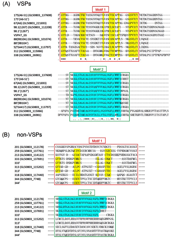 An external file that holds a picture, illustration, etc.
Object name is mbo0031315290005.jpg