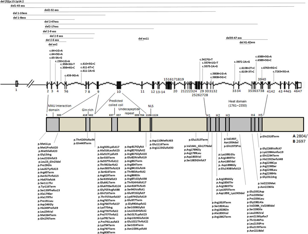 An external file that holds a picture, illustration, etc.
Object name is nihms540932f2.jpg