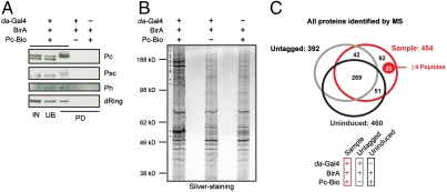 An external file that holds a picture, illustration, etc.
Object name is pnas.1007916108fig2.jpg