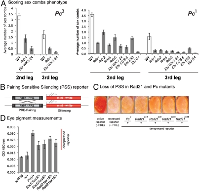 An external file that holds a picture, illustration, etc.
Object name is pnas.1007916108fig5.jpg