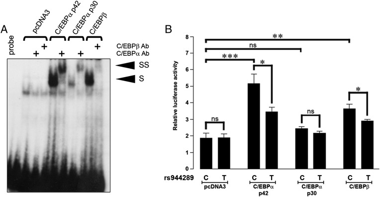 An external file that holds a picture, illustration, etc.
Object name is pnas.1205654109fig03.jpg