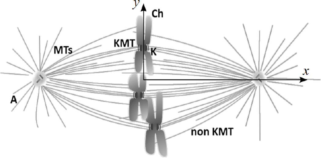 An external file that holds a picture, illustration, etc.
Object name is nihms522013f1.jpg