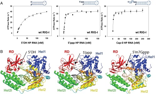 An external file that holds a picture, illustration, etc.
Object name is pnas.1515152113fig01.jpg