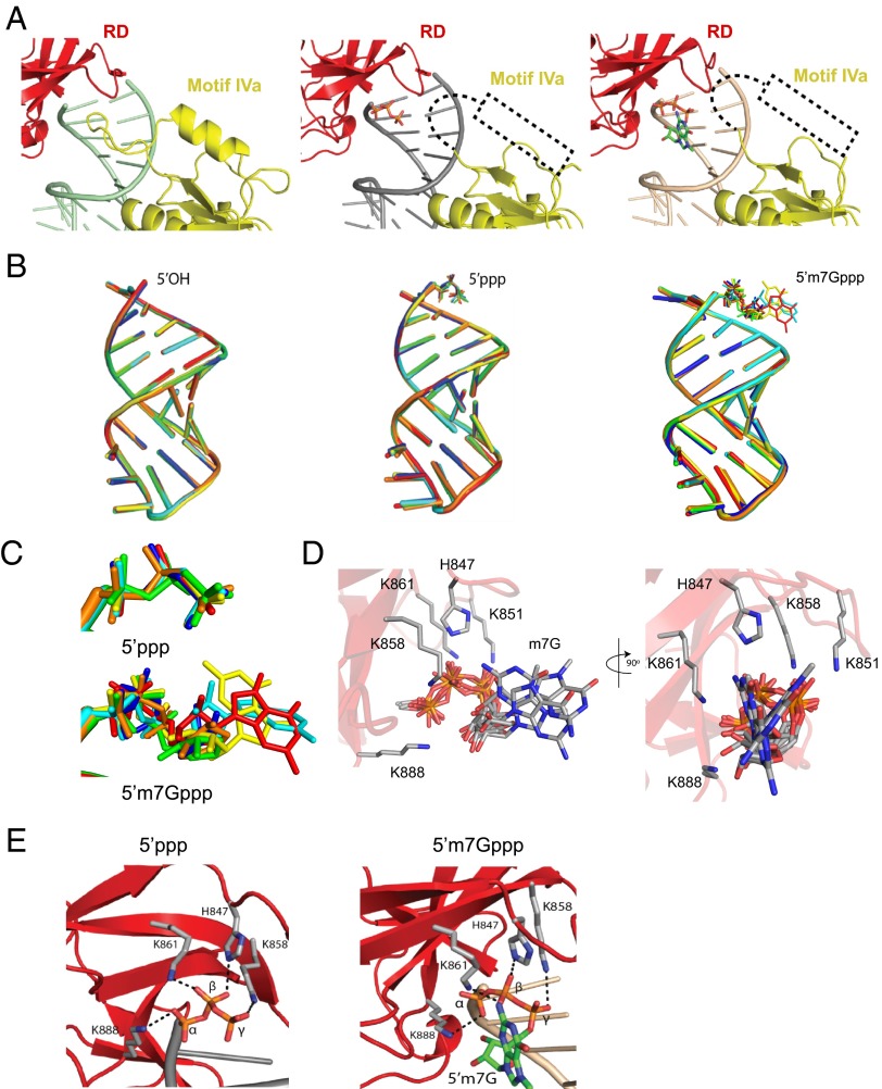 An external file that holds a picture, illustration, etc.
Object name is pnas.1515152113fig02.jpg