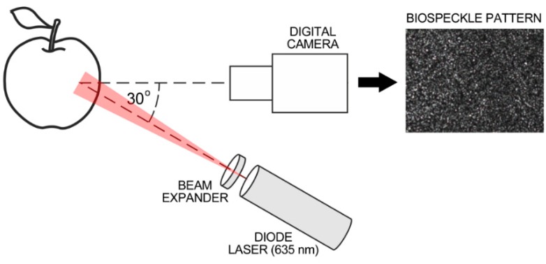 An external file that holds a picture, illustration, etc.
Object name is sensors-16-00661-g001.jpg