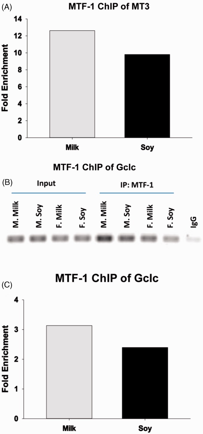 An external file that holds a picture, illustration, etc.
Object name is 10.1177_1535370214547162-fig4.jpg