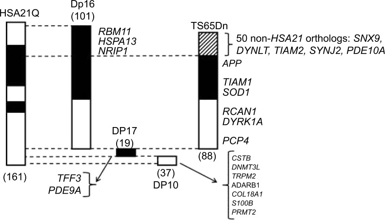 An external file that holds a picture, illustration, etc.
Object name is dddt-9-103Fig1.jpg