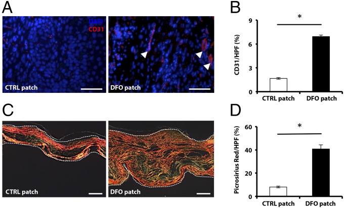 An external file that holds a picture, illustration, etc.
Object name is pnas.1413445112fig04.jpg