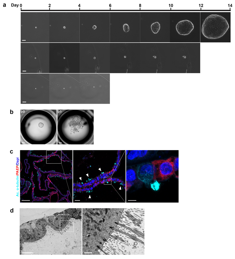 An external file that holds a picture, illustration, etc.
Object name is emss-71975-f005.jpg