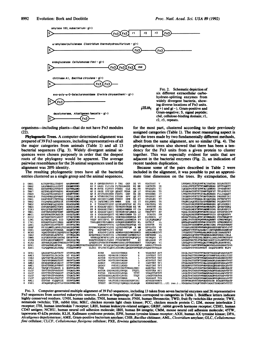 icon of scanned page 8992