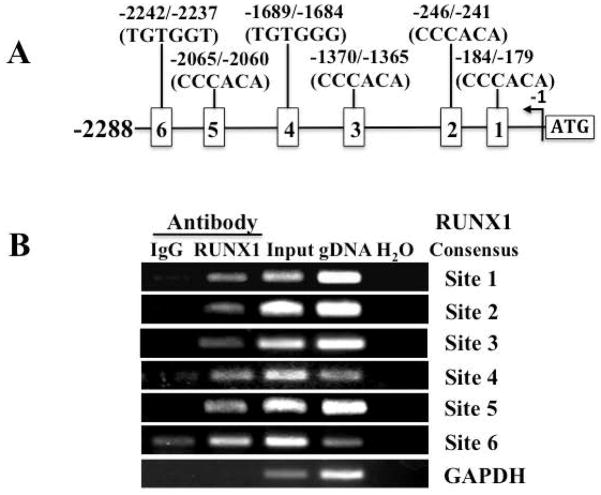 An external file that holds a picture, illustration, etc.
Object name is nihms842419f3.jpg