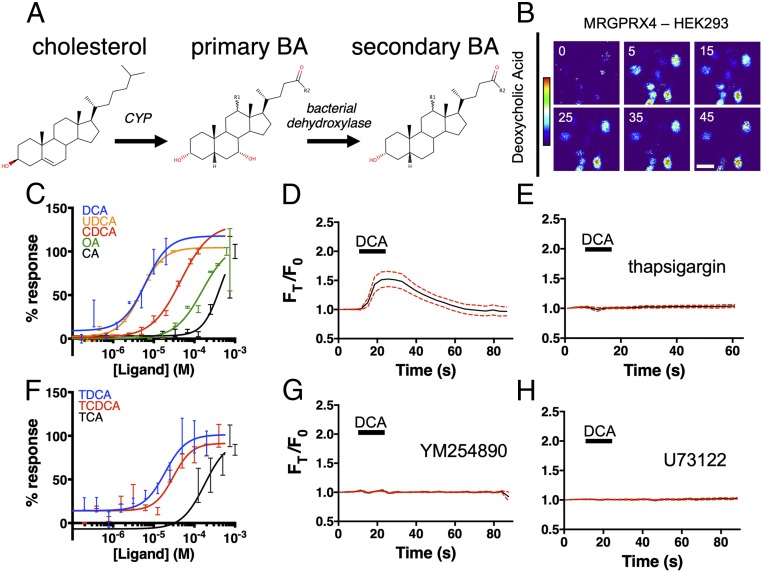 An external file that holds a picture, illustration, etc.
Object name is pnas.1903316116fig01.jpg