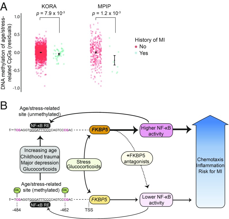 An external file that holds a picture, illustration, etc.
Object name is pnas.1816847116fig06.jpg