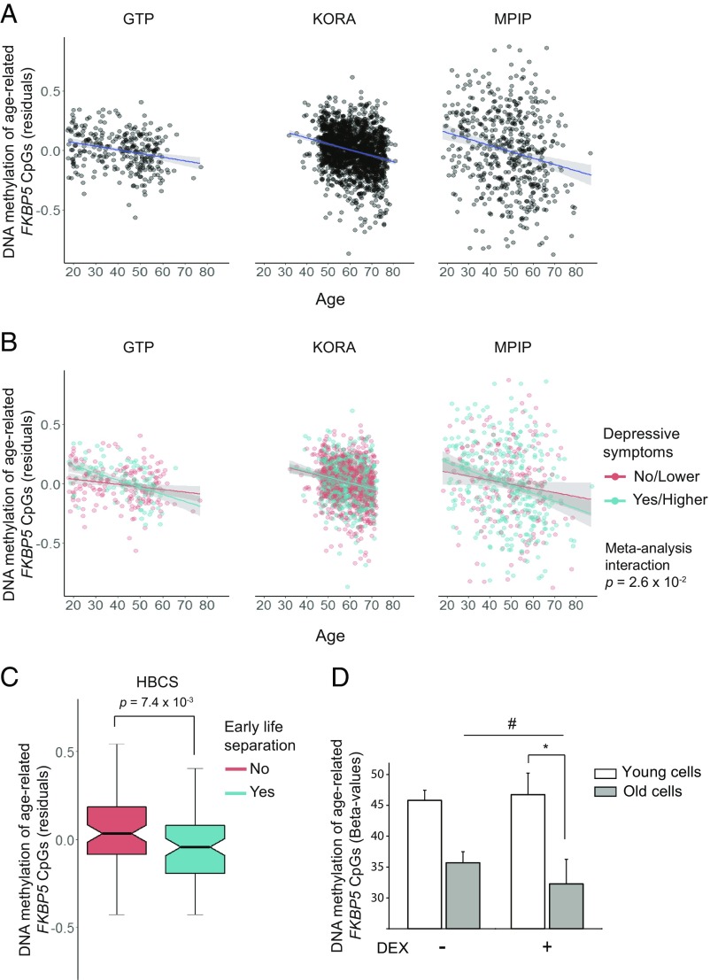 An external file that holds a picture, illustration, etc.
Object name is pnas.1816847116fig01.jpg