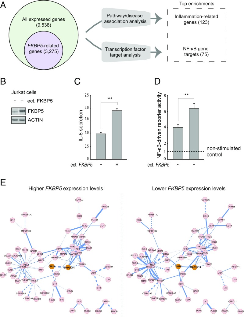 An external file that holds a picture, illustration, etc.
Object name is pnas.1816847116fig03.jpg