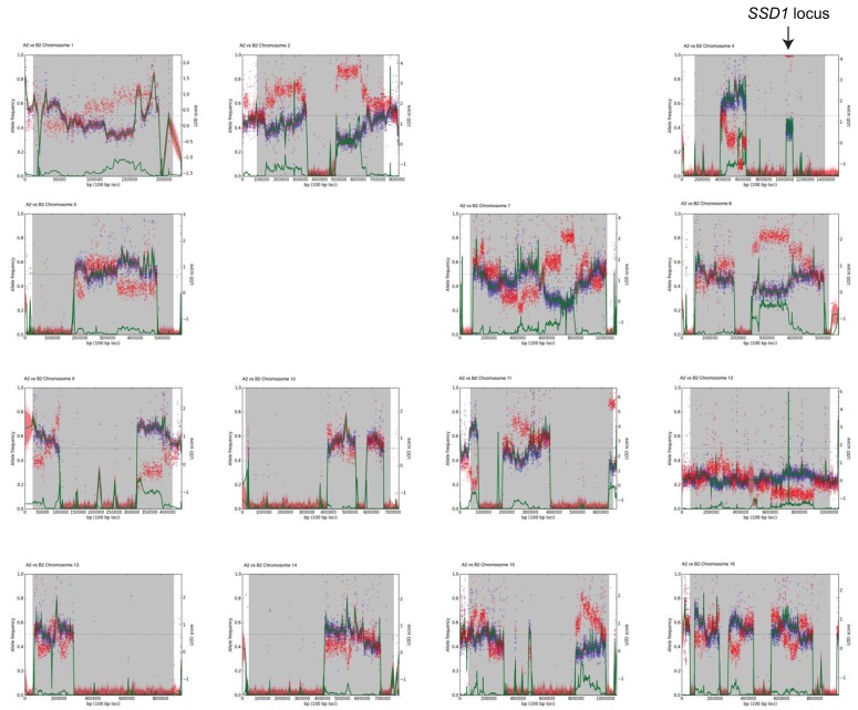 An external file that holds a picture, illustration, etc.
Object name is elife-52063-fig1-figsupp4.jpg