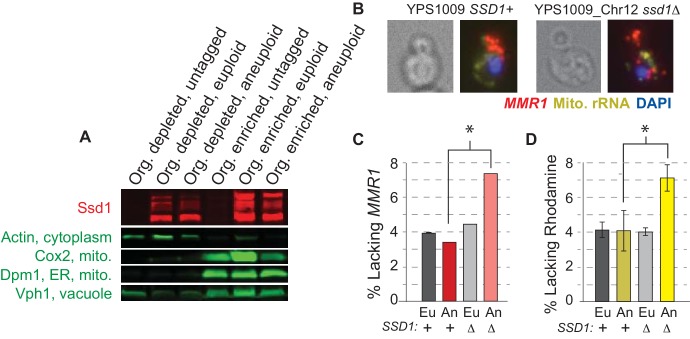 An external file that holds a picture, illustration, etc.
Object name is elife-52063-fig5.jpg