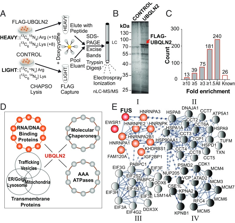 An external file that holds a picture, illustration, etc.
Object name is pnas.1811997115fig01.jpg