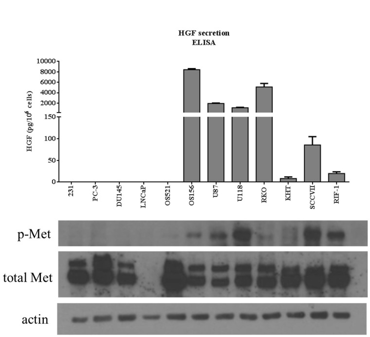 An external file that holds a picture, illustration, etc.
Object name is oncotarget-10-184-g003.jpg