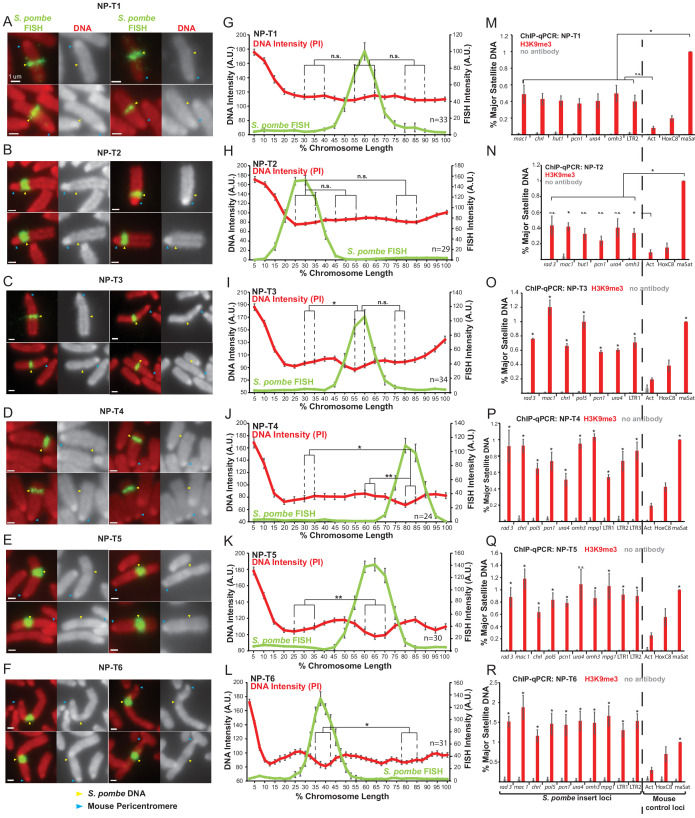 An external file that holds a picture, illustration, etc.
Object name is elife-57212-fig5.jpg