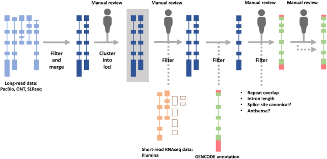 An external file that holds a picture, illustration, etc.
Object name is gkaa1087fig1.jpg