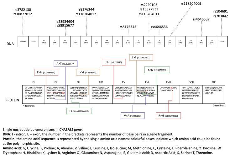 An external file that holds a picture, illustration, etc.
Object name is nutrients-12-00801-g003.jpg