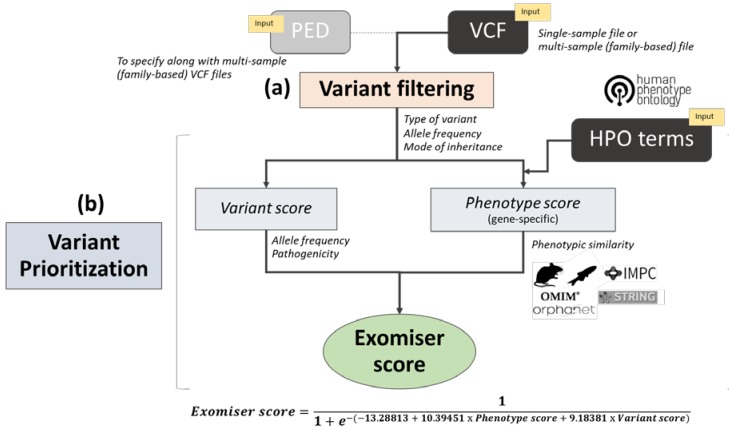 An external file that holds a picture, illustration, etc.
Object name is genes-11-00460-g001.jpg