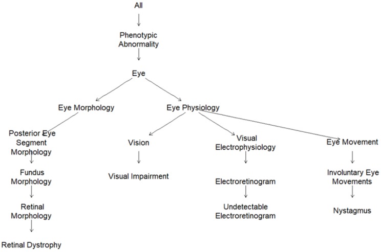 An external file that holds a picture, illustration, etc.
Object name is genes-11-00460-g002.jpg