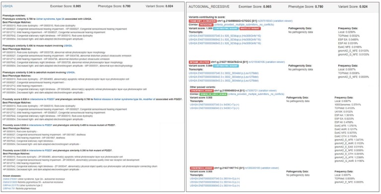 An external file that holds a picture, illustration, etc.
Object name is genes-11-00460-g004.jpg