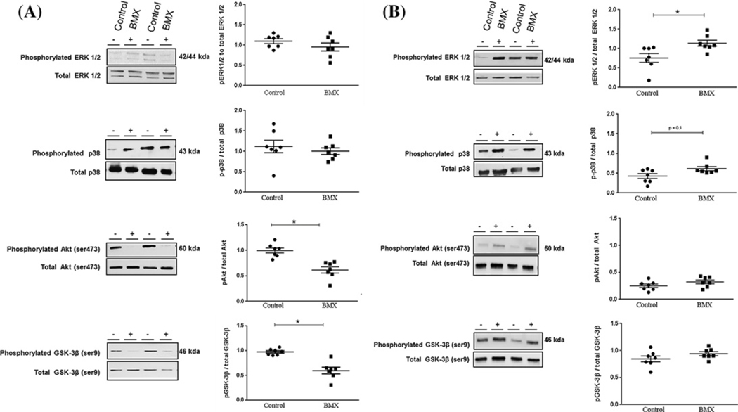 An external file that holds a picture, illustration, etc.
Object name is nihms-1044209-f0003.jpg