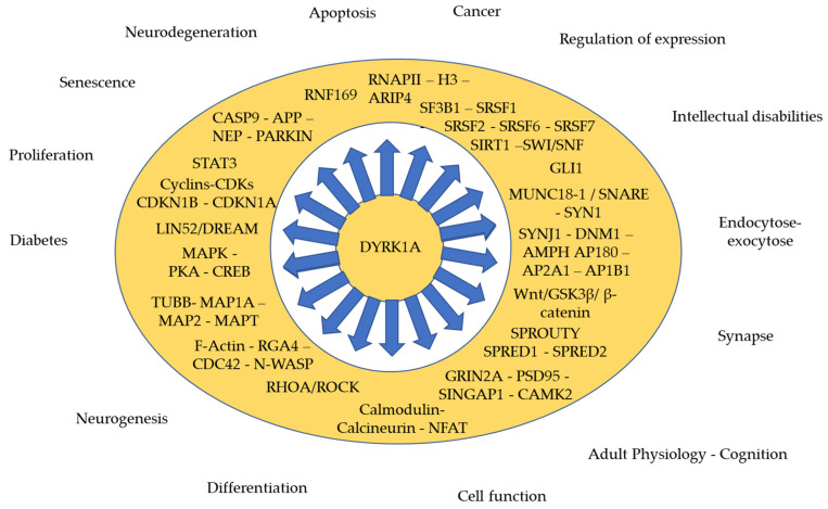 An external file that holds a picture, illustration, etc.
Object name is genes-12-01833-g001.jpg