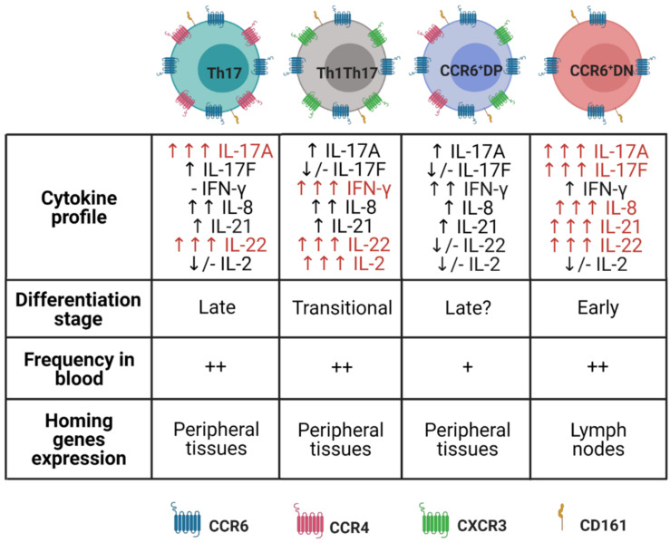 An external file that holds a picture, illustration, etc.
Object name is cells-10-01159-g002.jpg